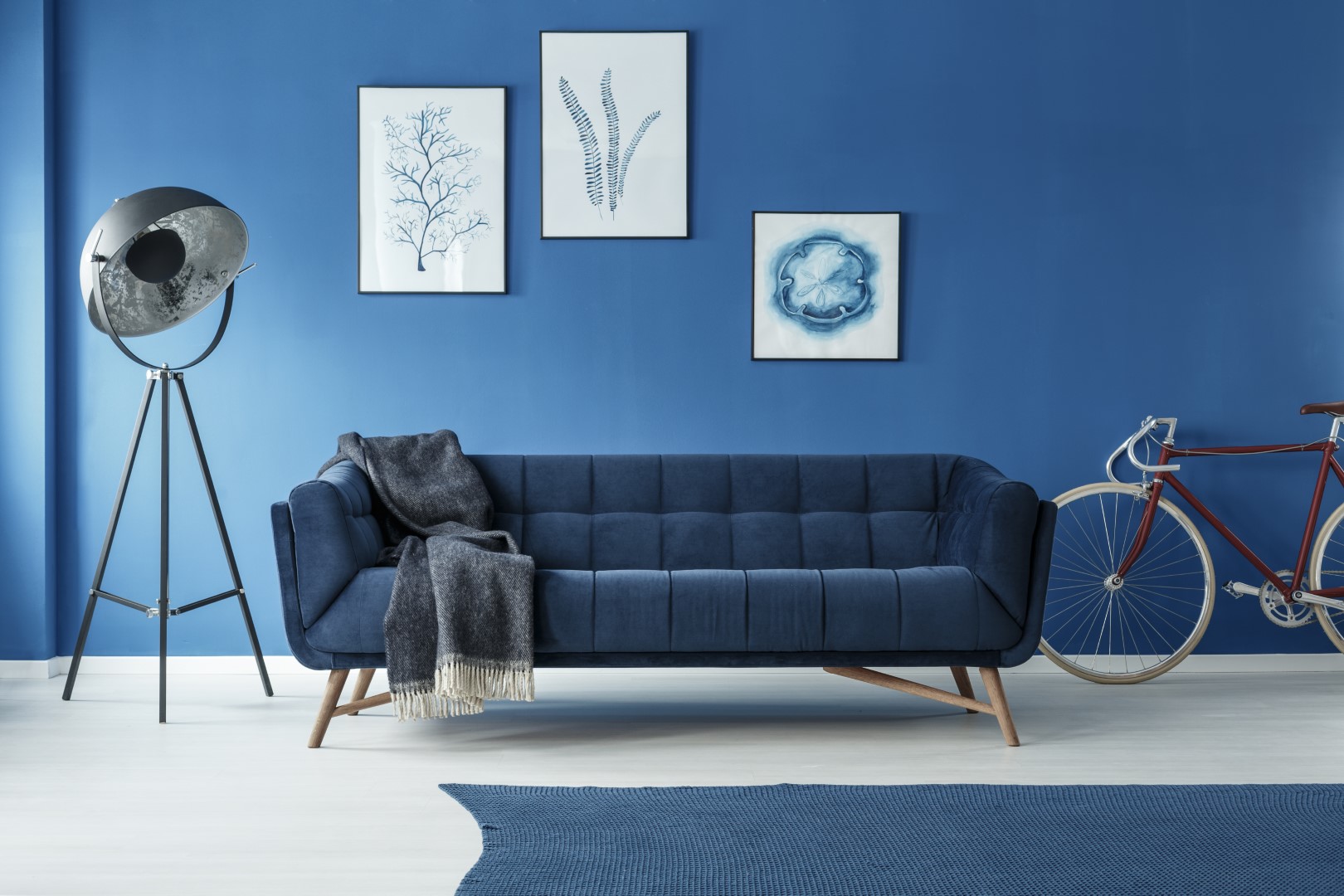 frisch gestrichenes Wohnzimmer von Besser Schmitz Malerfachbetrieb